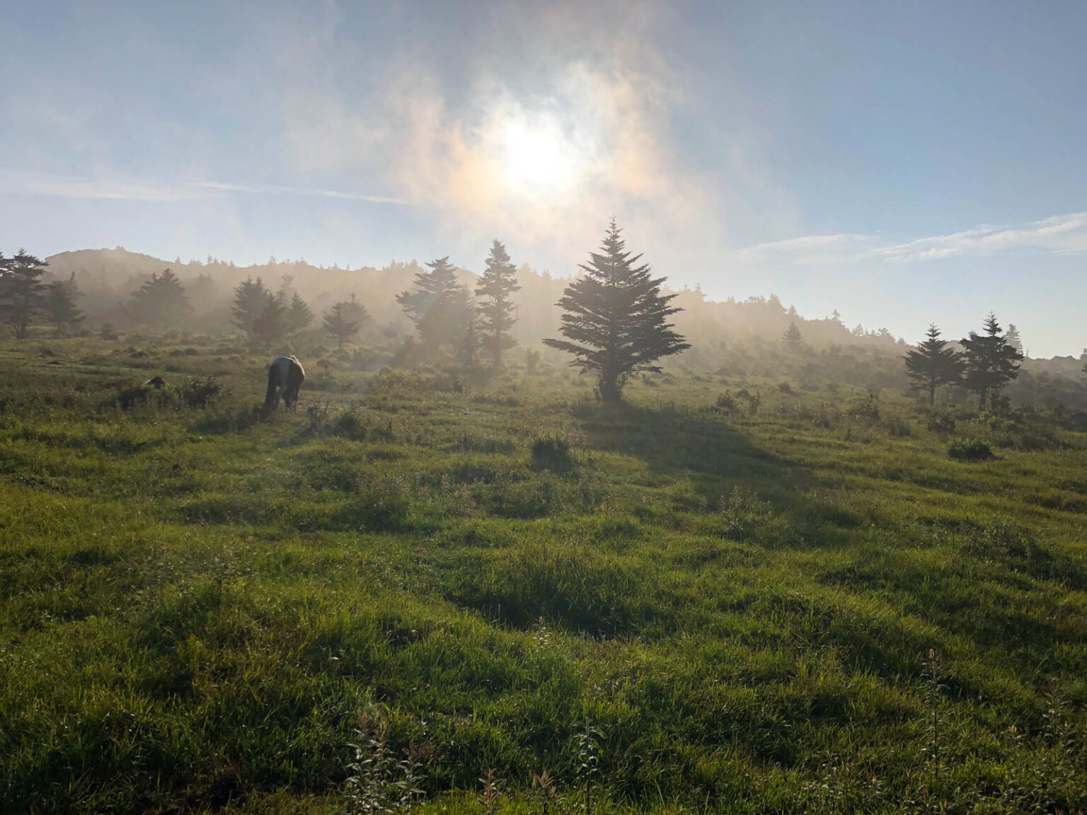 When and Where to See the Best Fall Colors in The Blue Ridge Mountains ...