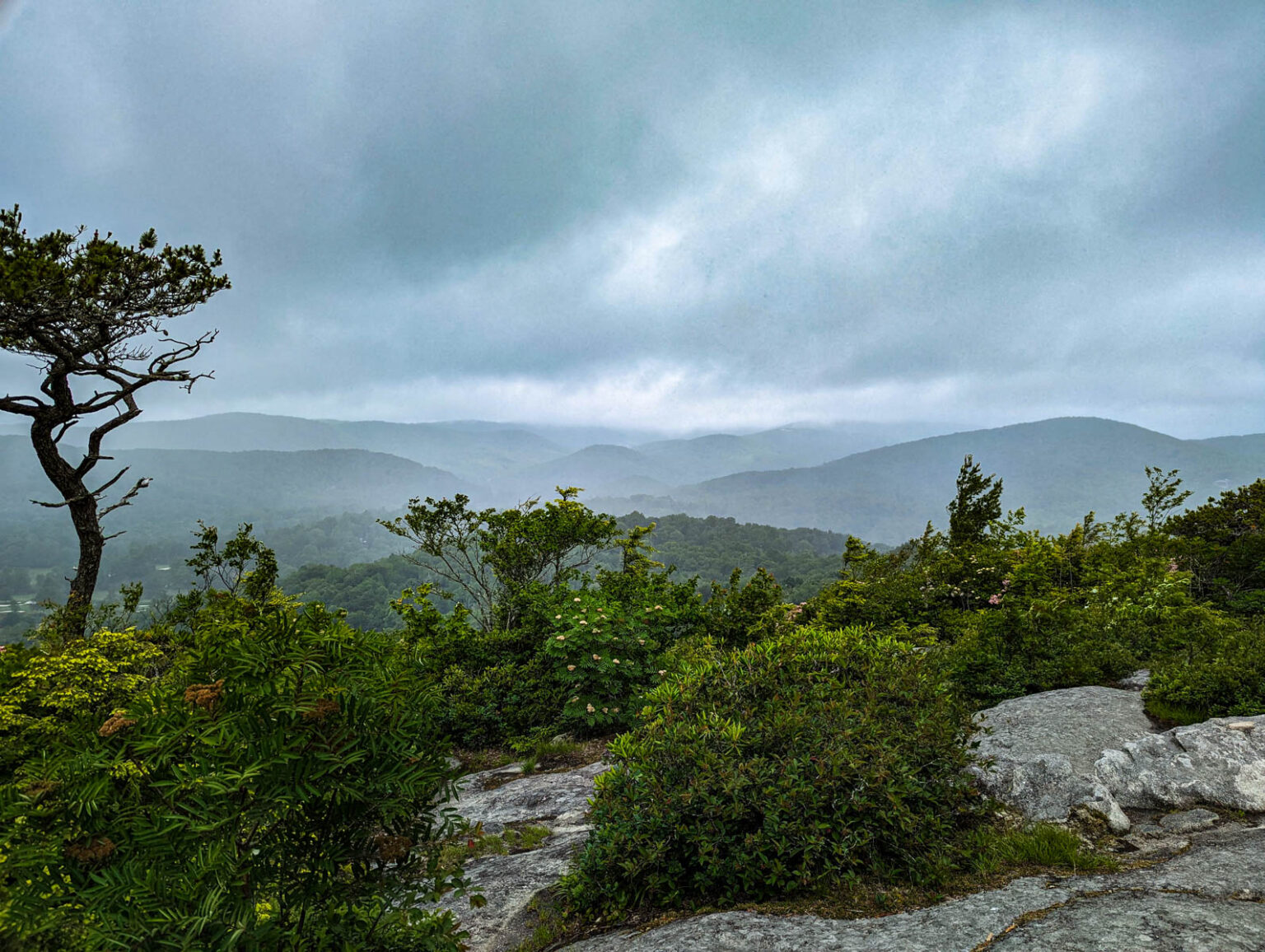 25 Hikes on the Blue Ridge Parkway that you'll absolutely love