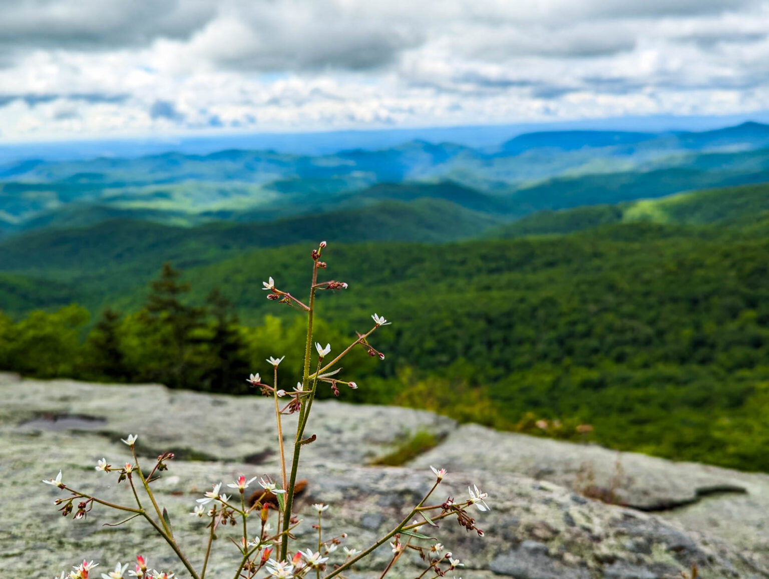 Beacon Heights Hike: The Most Amazing short trail on the Parkway