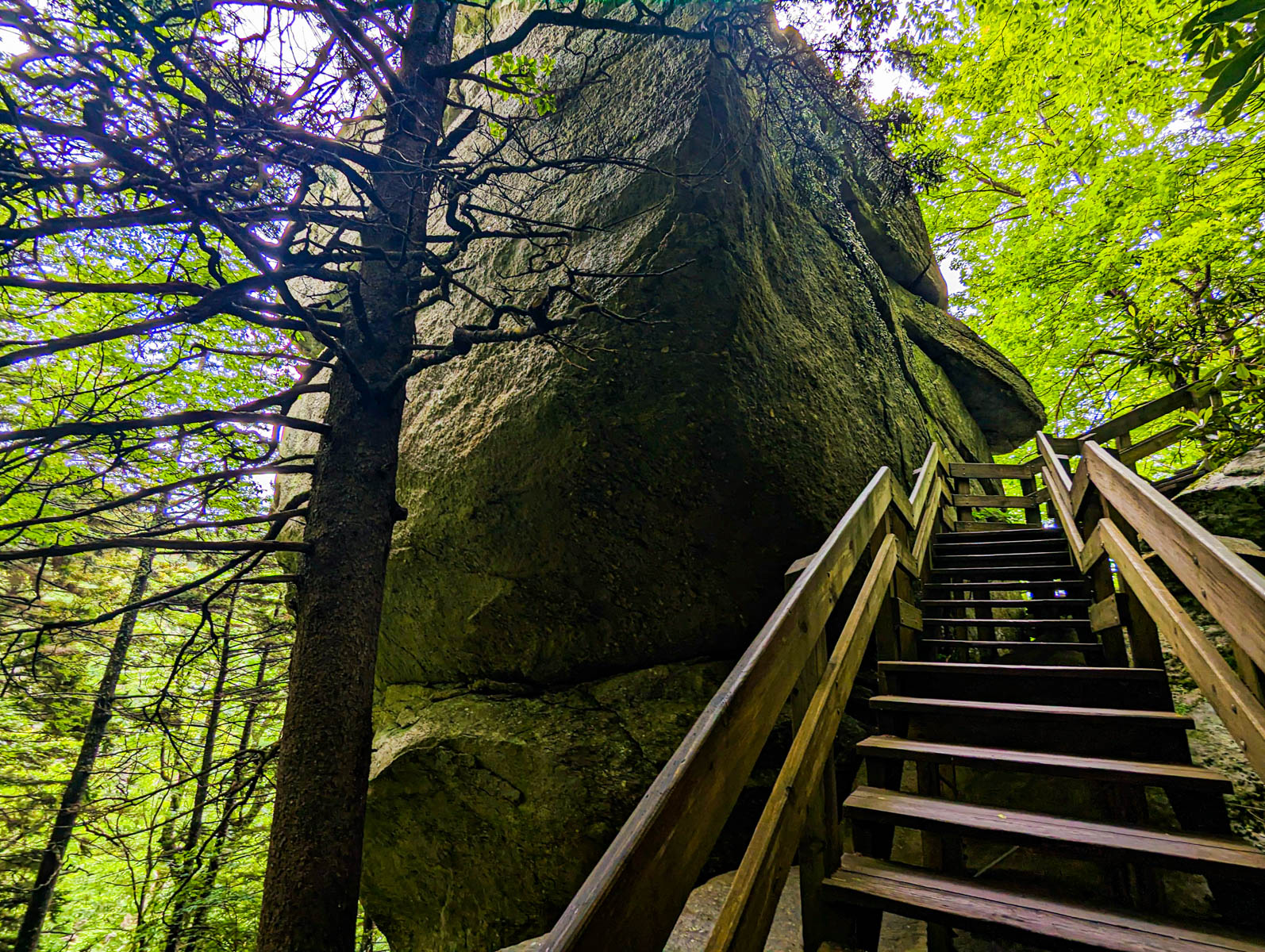 Tanawha Trail: The best trail on the Blue Ridge Parkway