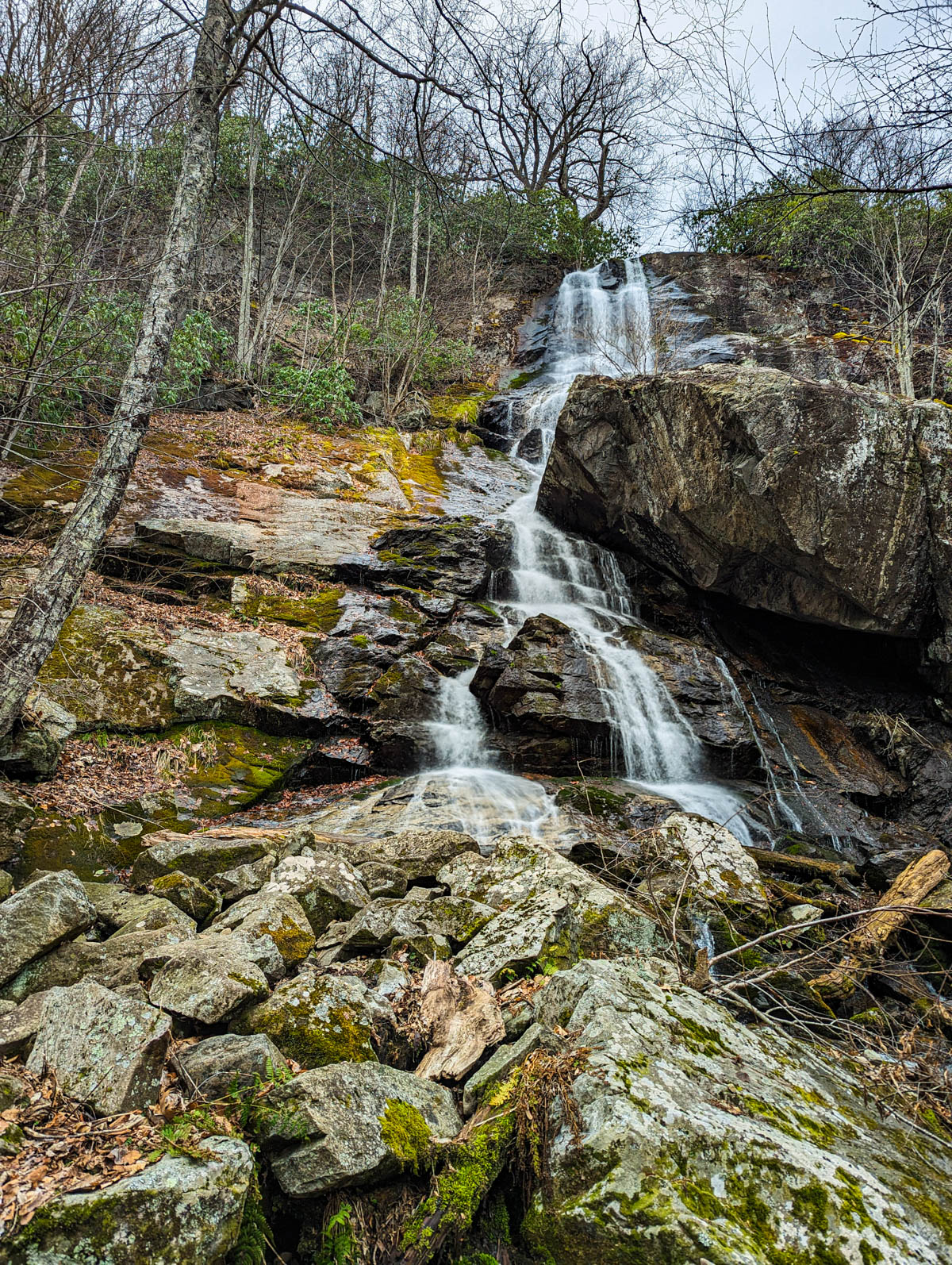 The 15 Best Hikes Near Roanoke, VA
